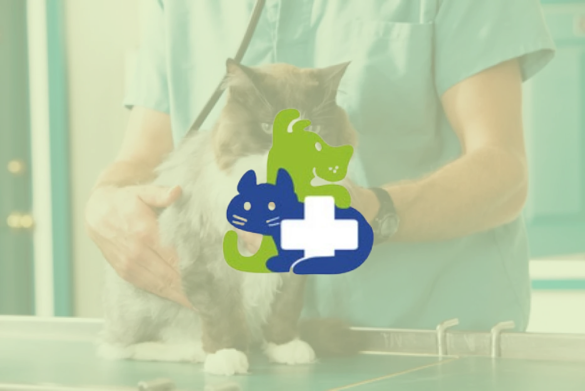 veterinaire-desmettre-fath-edc_4x