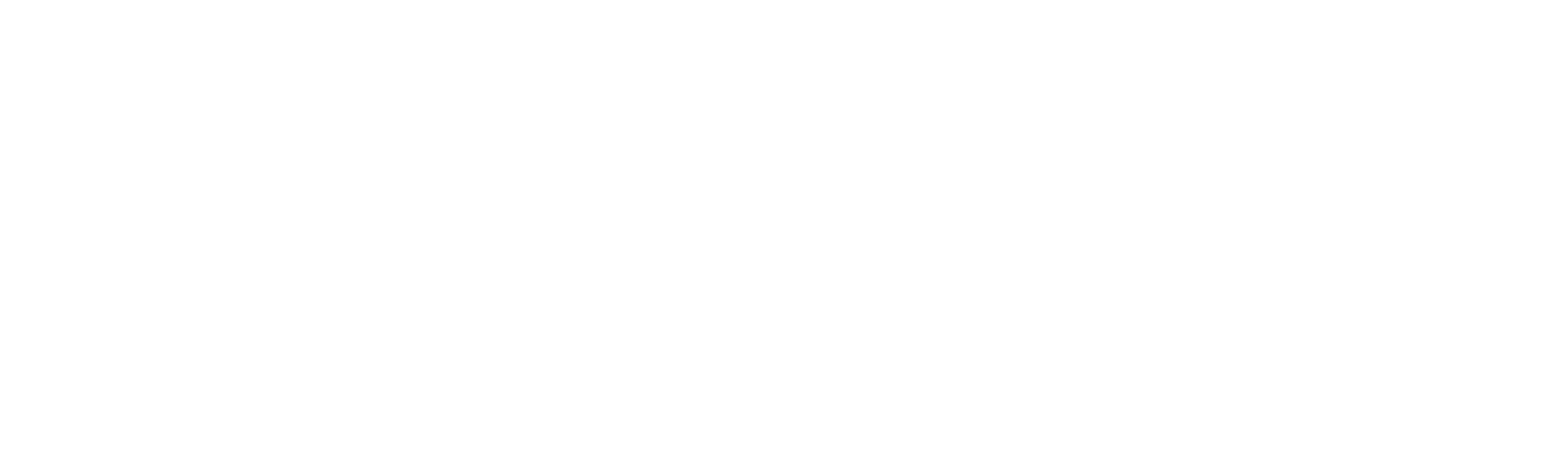 autothivolle_noir_baseline_2_1