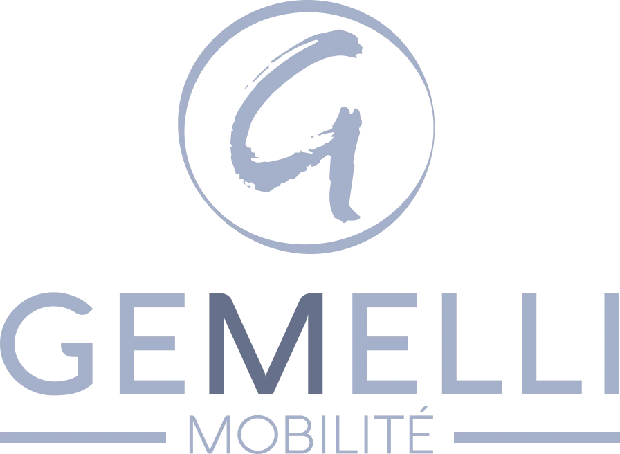 Gemelli - gris-1
