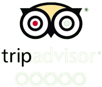 Trip Advisor